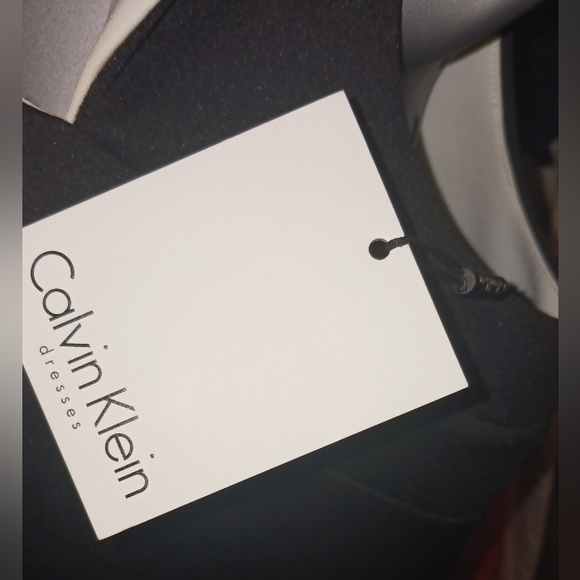 Calvin Klein Dress - Picture 3 of 4